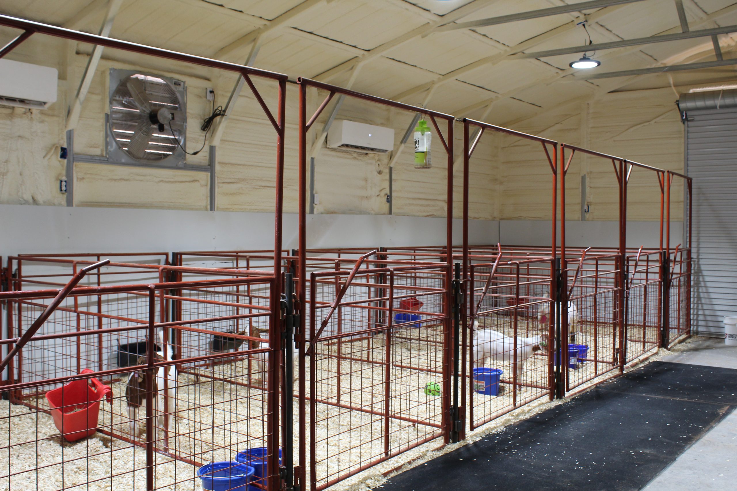 sheep gates